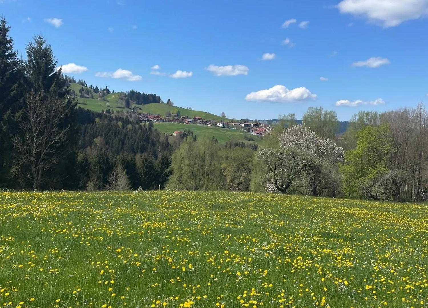 Kuh'Les Hideaway Steibis 3-Zimmer Ferienwohnung 55 M² Oberstaufen 0*,  Alemania