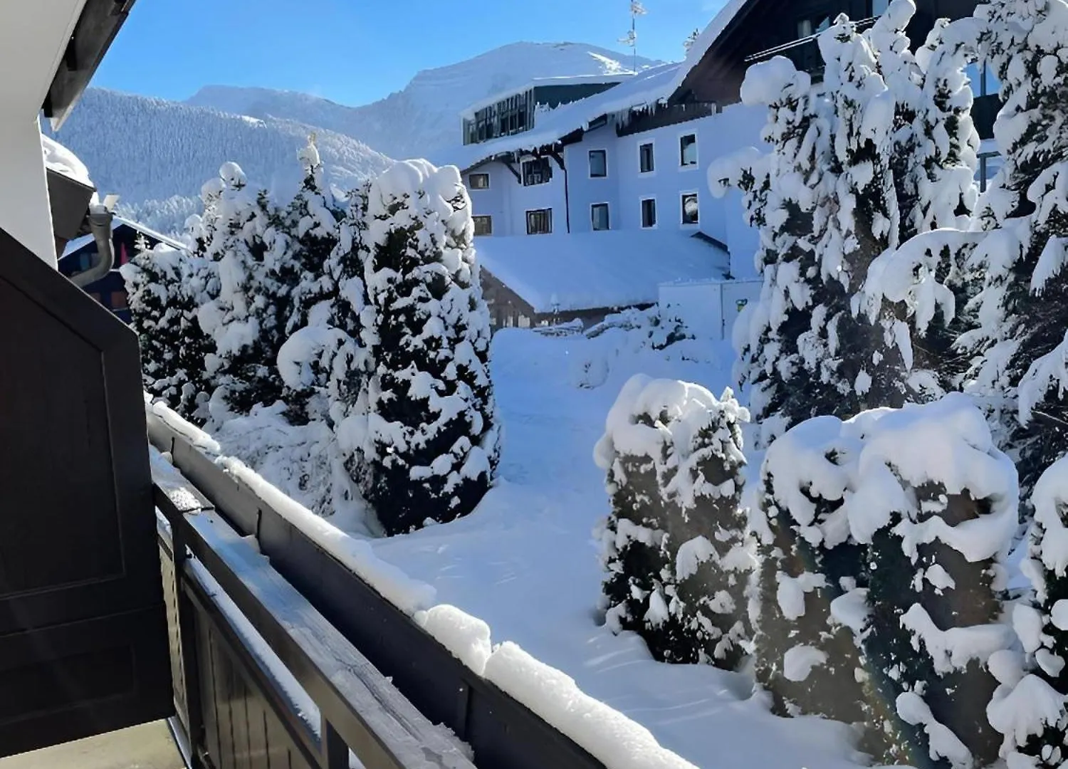 Kuh'Les Hideaway Steibis 3-Zimmer Ferienwohnung 55 M² Oberstaufen Apartment